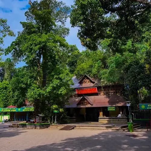 The mystical forest clearing and serpent stone images at the ancient Mannarasala Sree Nagaraja Temple in Haripad