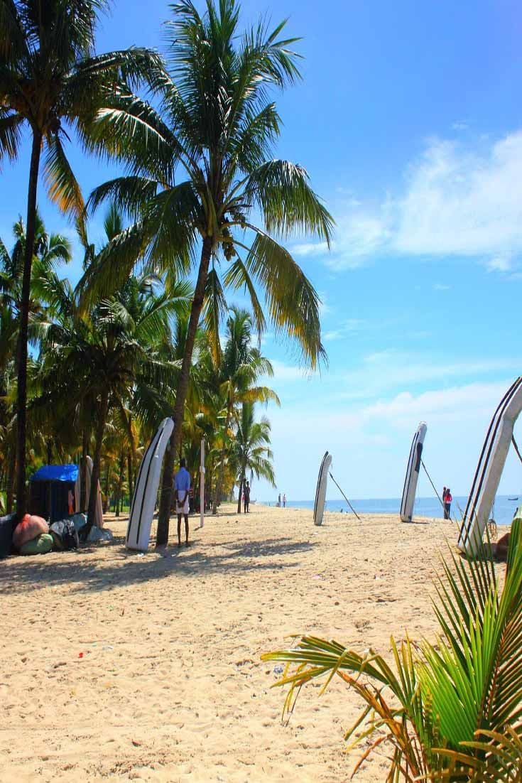 Quiet and peaceful sandy shores of Marari Beach lined with coconut palm trees near Alleppey, Kerala